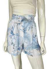 Lino shorts (palm springs)