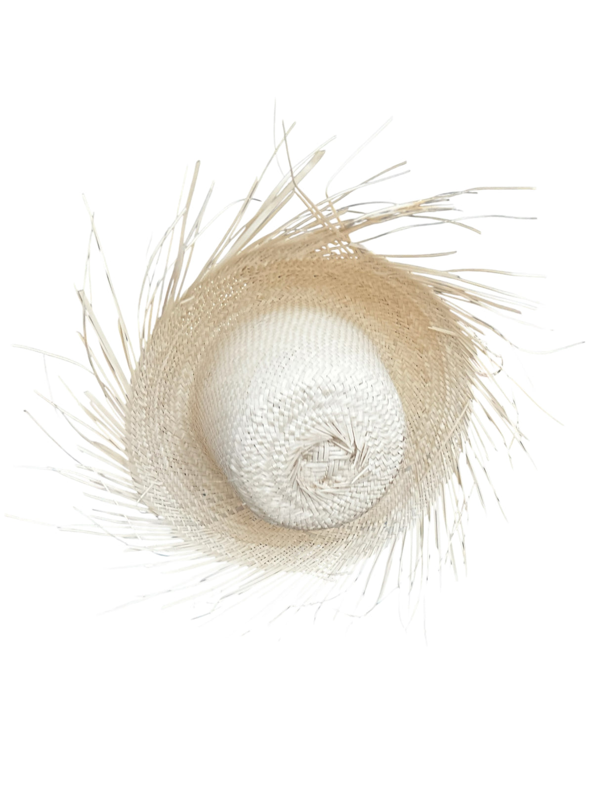 Pava
